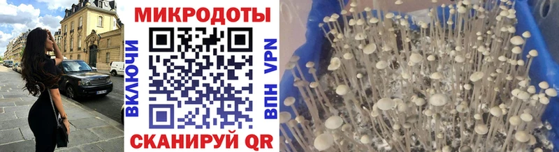 Галлюциногенные грибы прущие грибы  наркотики  Микунь 